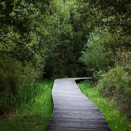 El Salgueiro * Santa Marta de Ortigueira