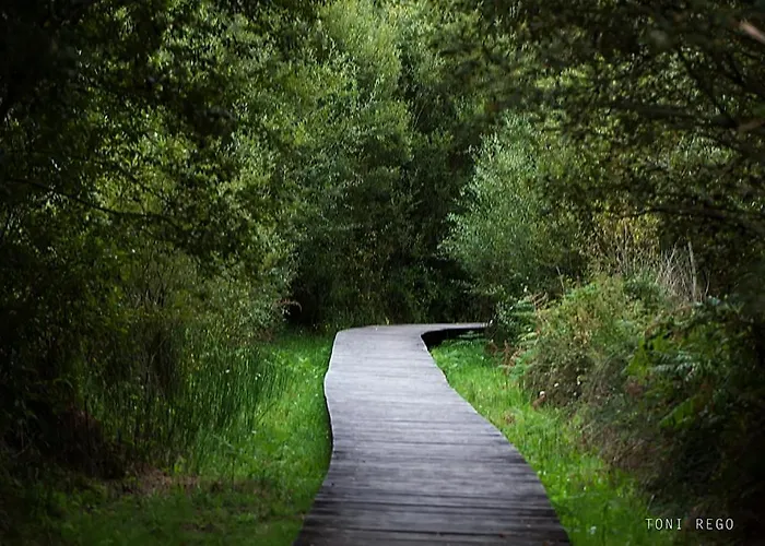 El Salgueiro * サンタマルタ・デ・オルティゲイラ